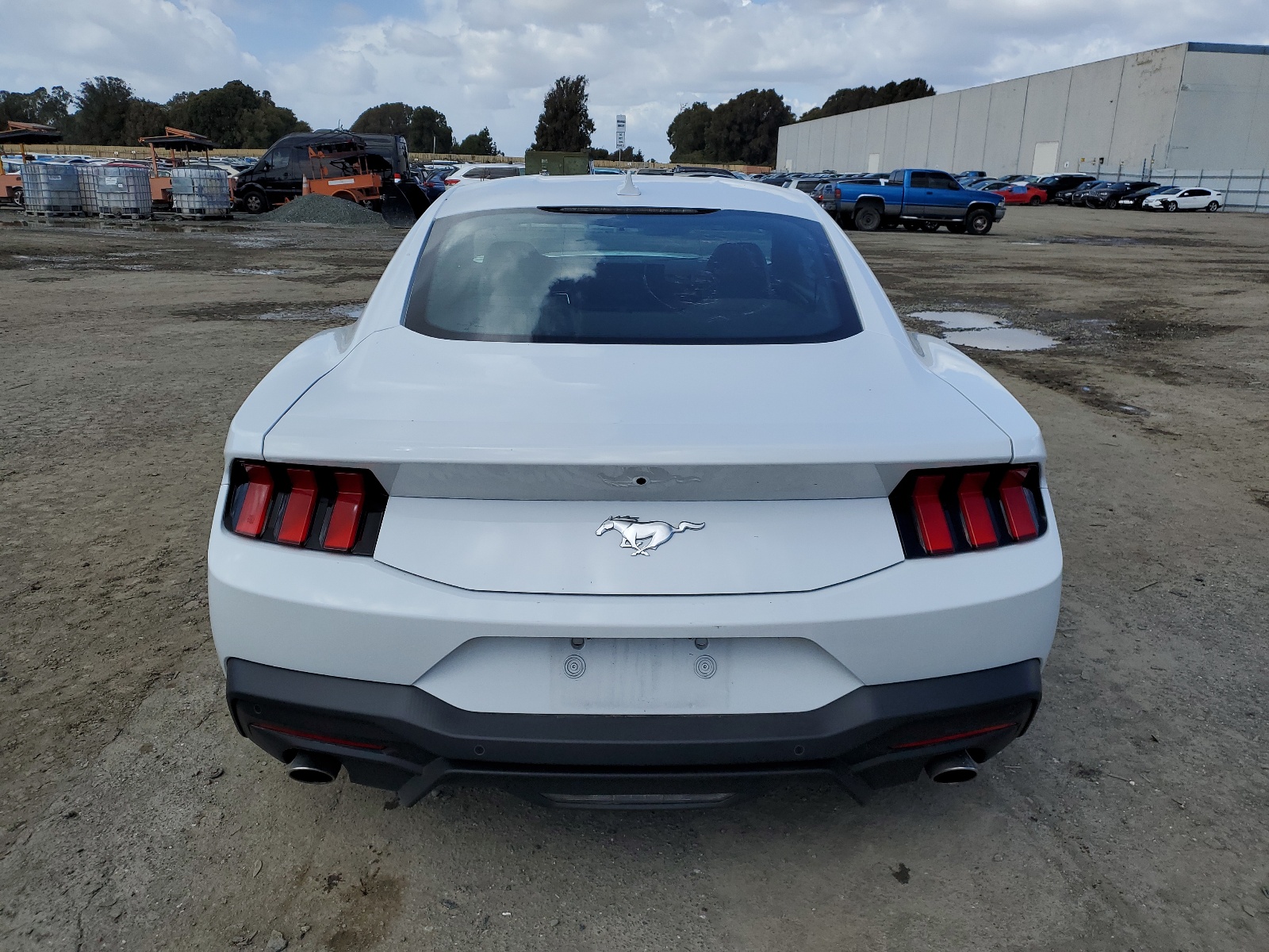 1FA6P8TH2R5107577 2024 Ford Mustang