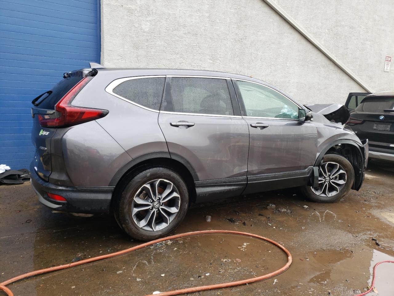 2022 Honda Cr-V Ex VIN: 2HKRW2H51NH646241 Lot: 51284004