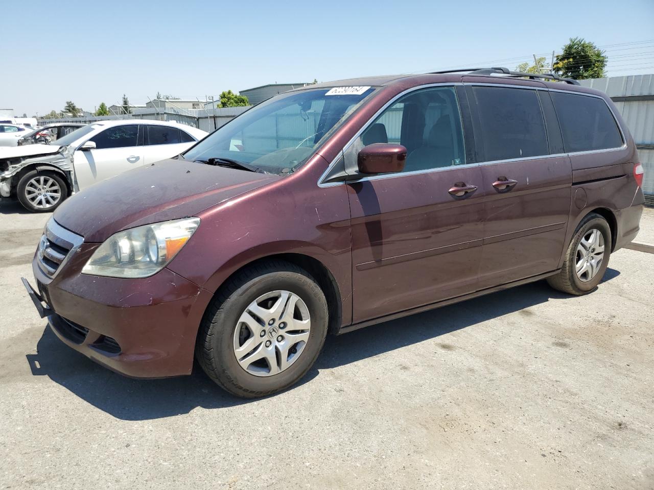 2007 Honda Odyssey Exl VIN: 5FNRL38647B419294 Lot: 62290164