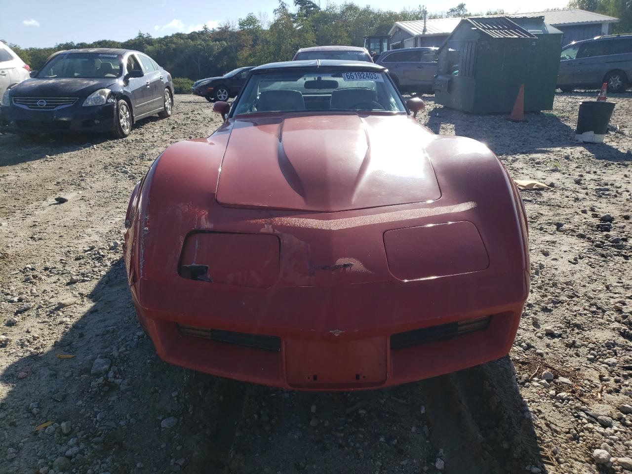 1981 Chevrolet Corvette VIN: 1G1AY8767BS429769 Lot: 66192403