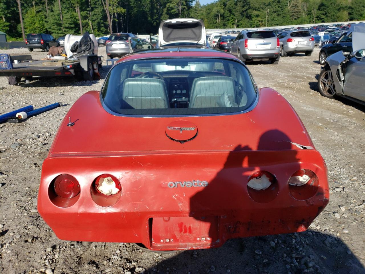 1981 Chevrolet Corvette VIN: 1G1AY8767BS429769 Lot: 66192403