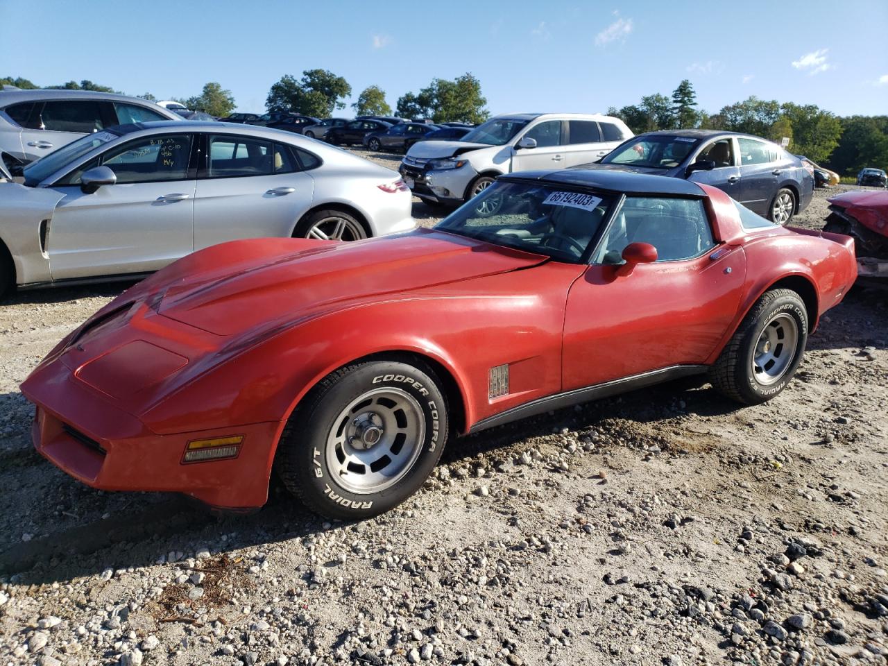 1981 Chevrolet Corvette VIN: 1G1AY8767BS429769 Lot: 66192403