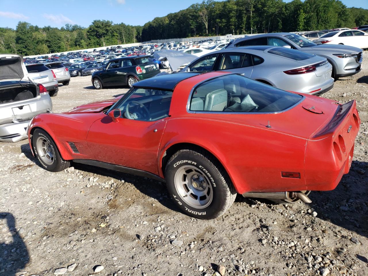 1981 Chevrolet Corvette VIN: 1G1AY8767BS429769 Lot: 66192403