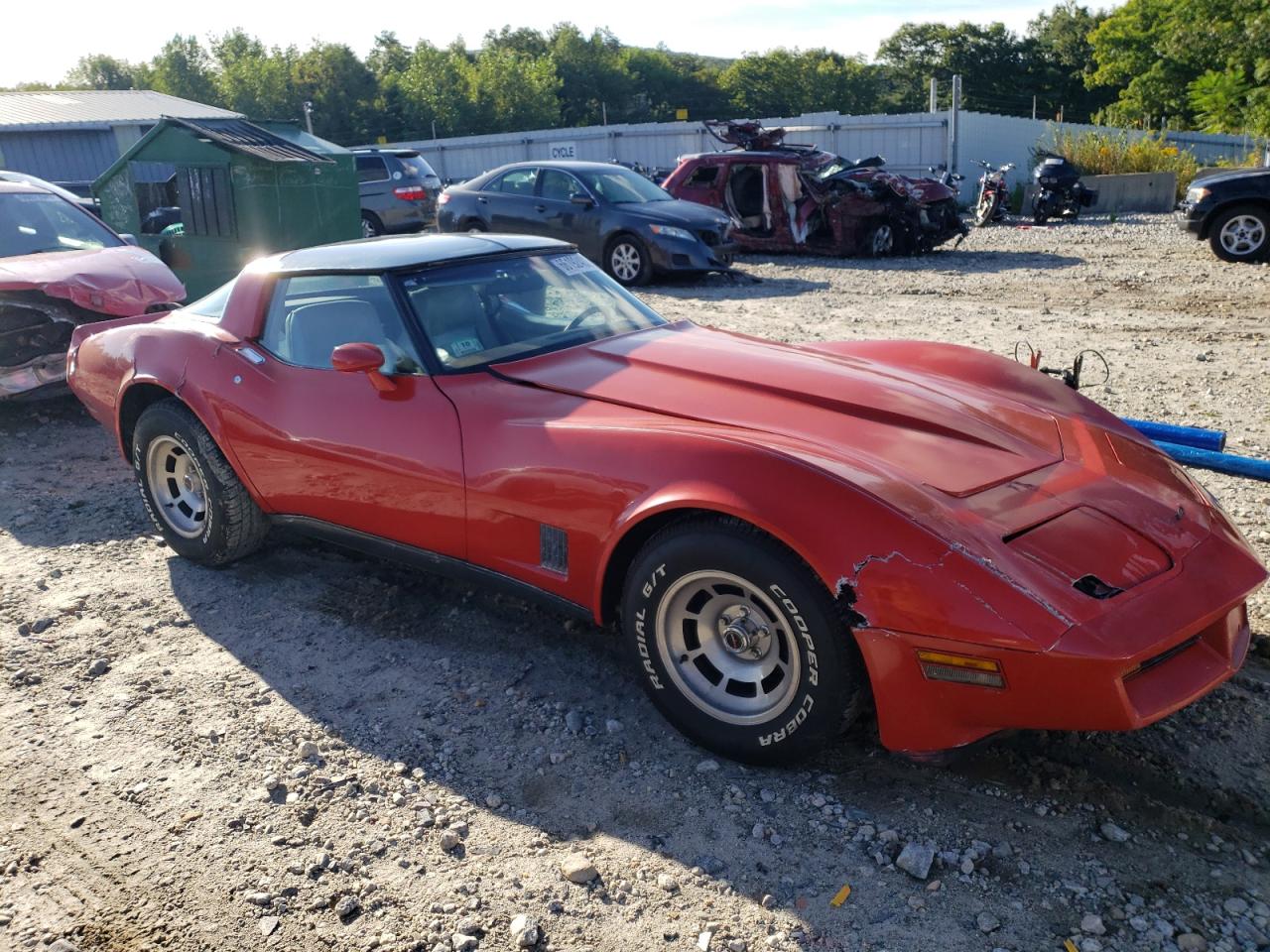 1981 Chevrolet Corvette VIN: 1G1AY8767BS429769 Lot: 66192403