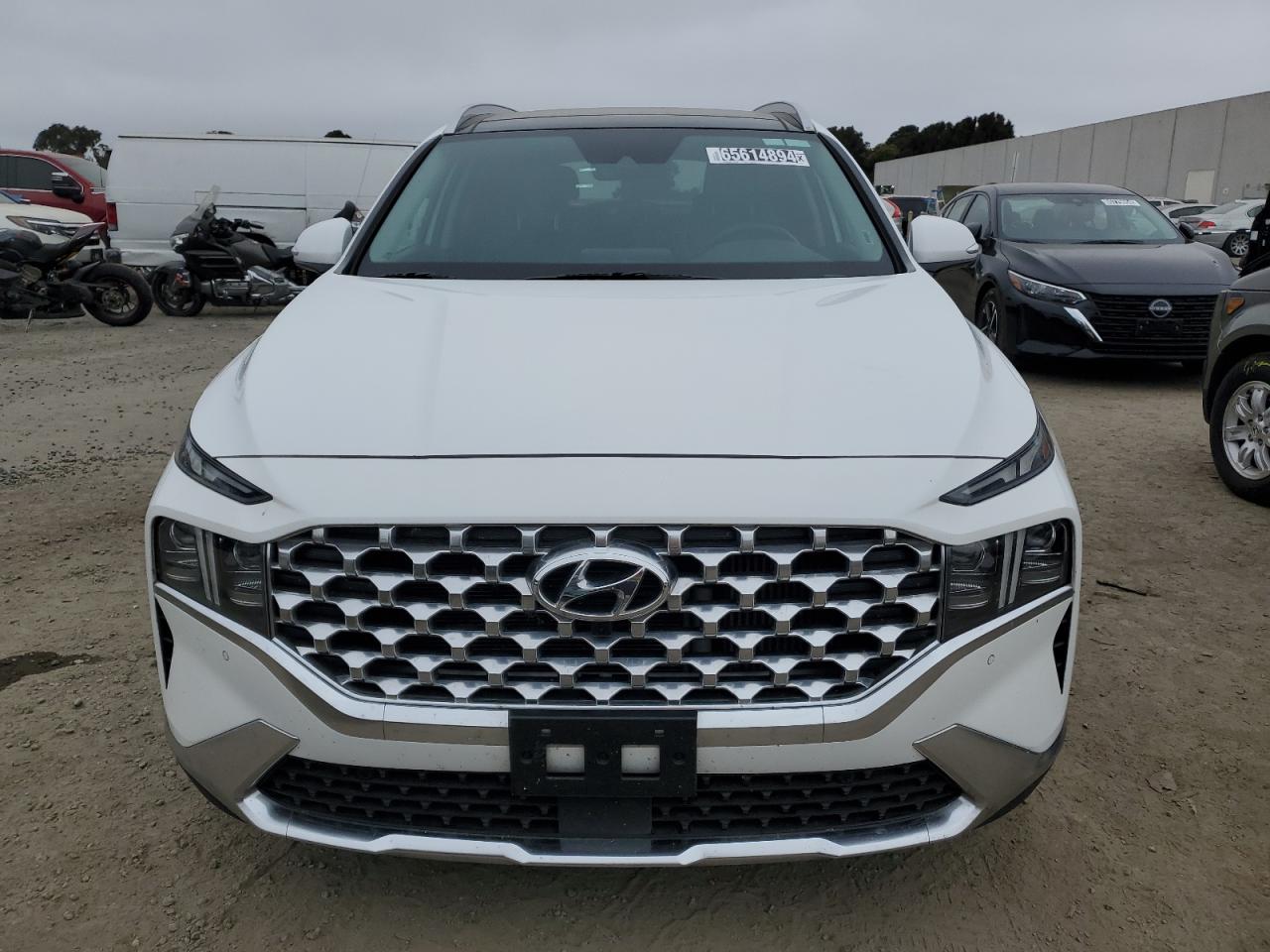 2023 Hyundai Santa Fe Limited VIN: 5NMS44ALXPH518124 Lot: 65614894