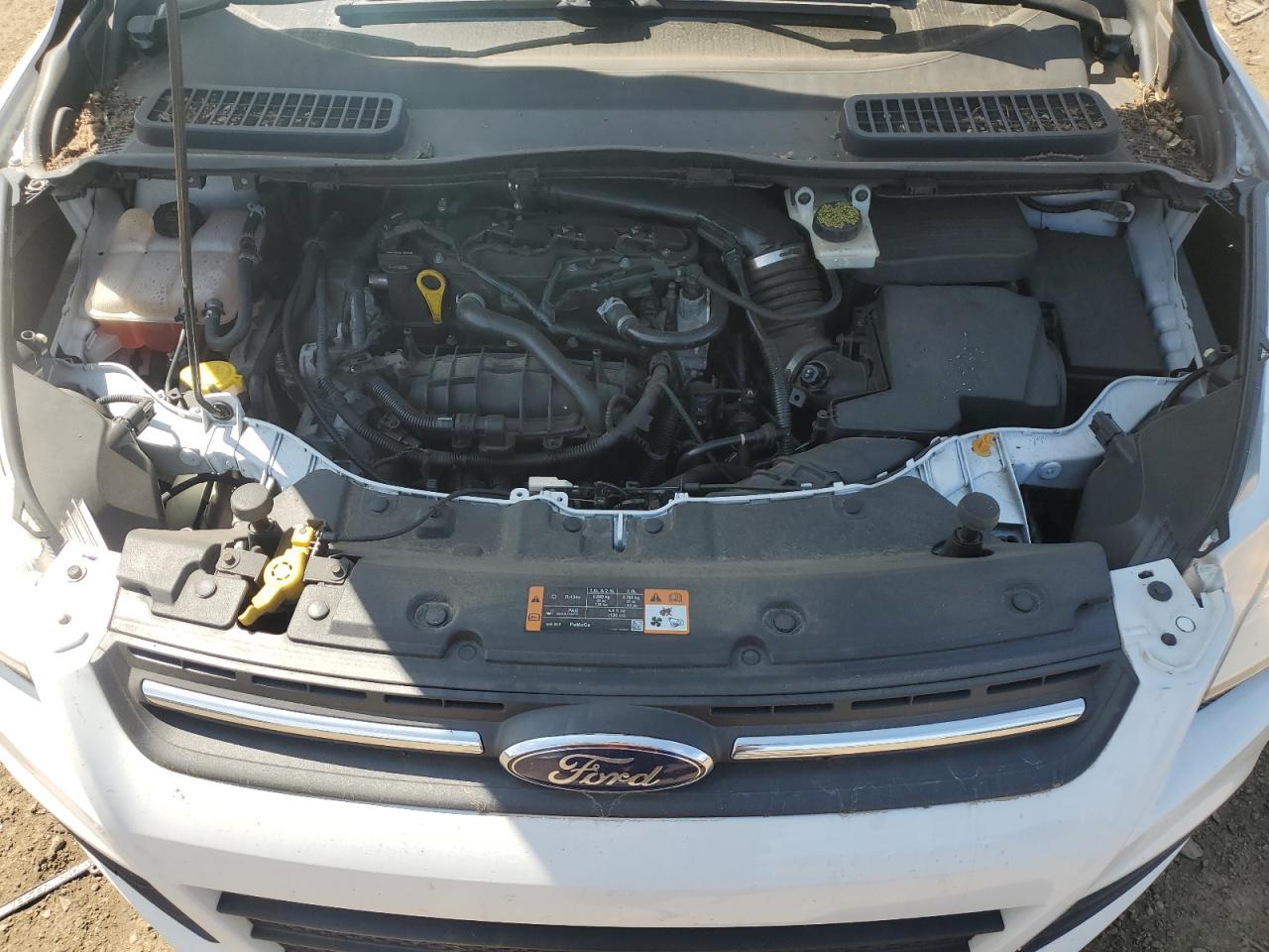 1FMCU0GX7EUC69337 2014 Ford Escape Se