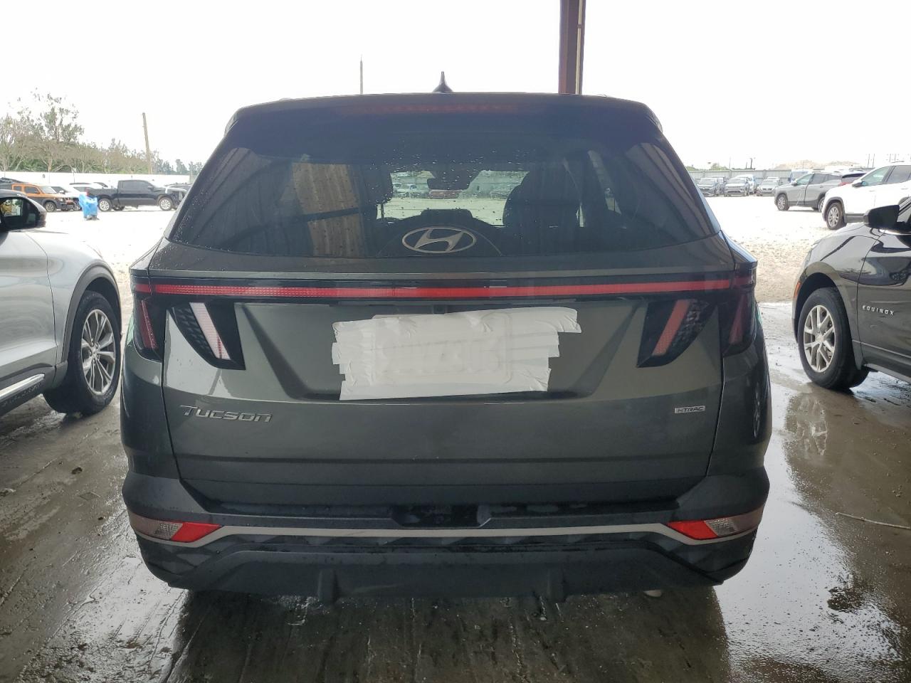 2023 Hyundai Tucson Sel VIN: 5NMJBCAE9PH189719 Lot: 66758794