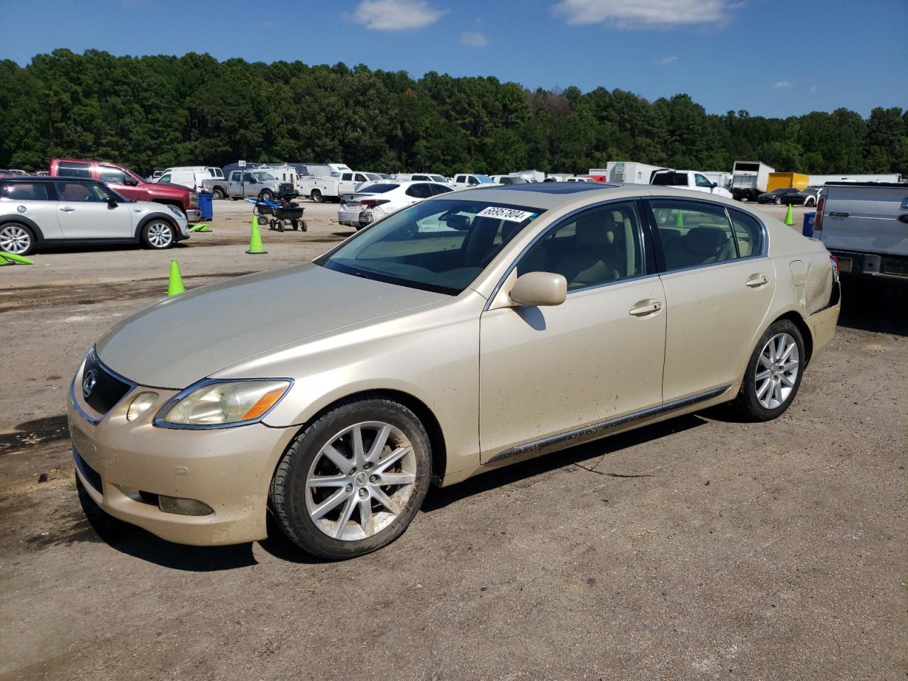 2006 Lexus Gs 300 VIN: JTHBH96S165010514 Lot: 66957804