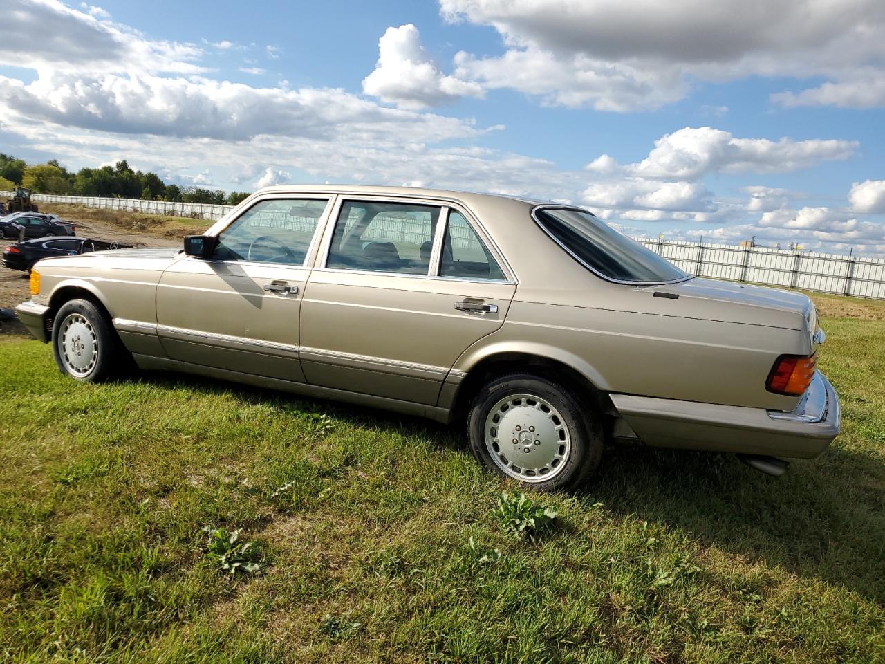 1986 Mercedes-Benz 420 Sel VIN: WDBCA35D2GA246302 Lot: 71673274