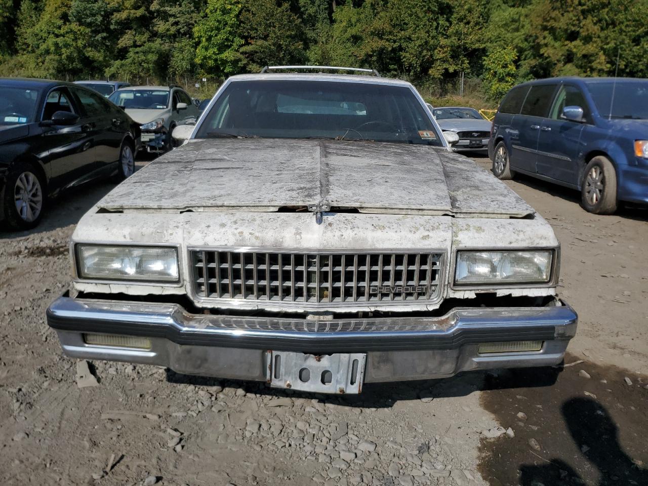 1G1BN81Y8KA107963 1989 Chevrolet Caprice Classic