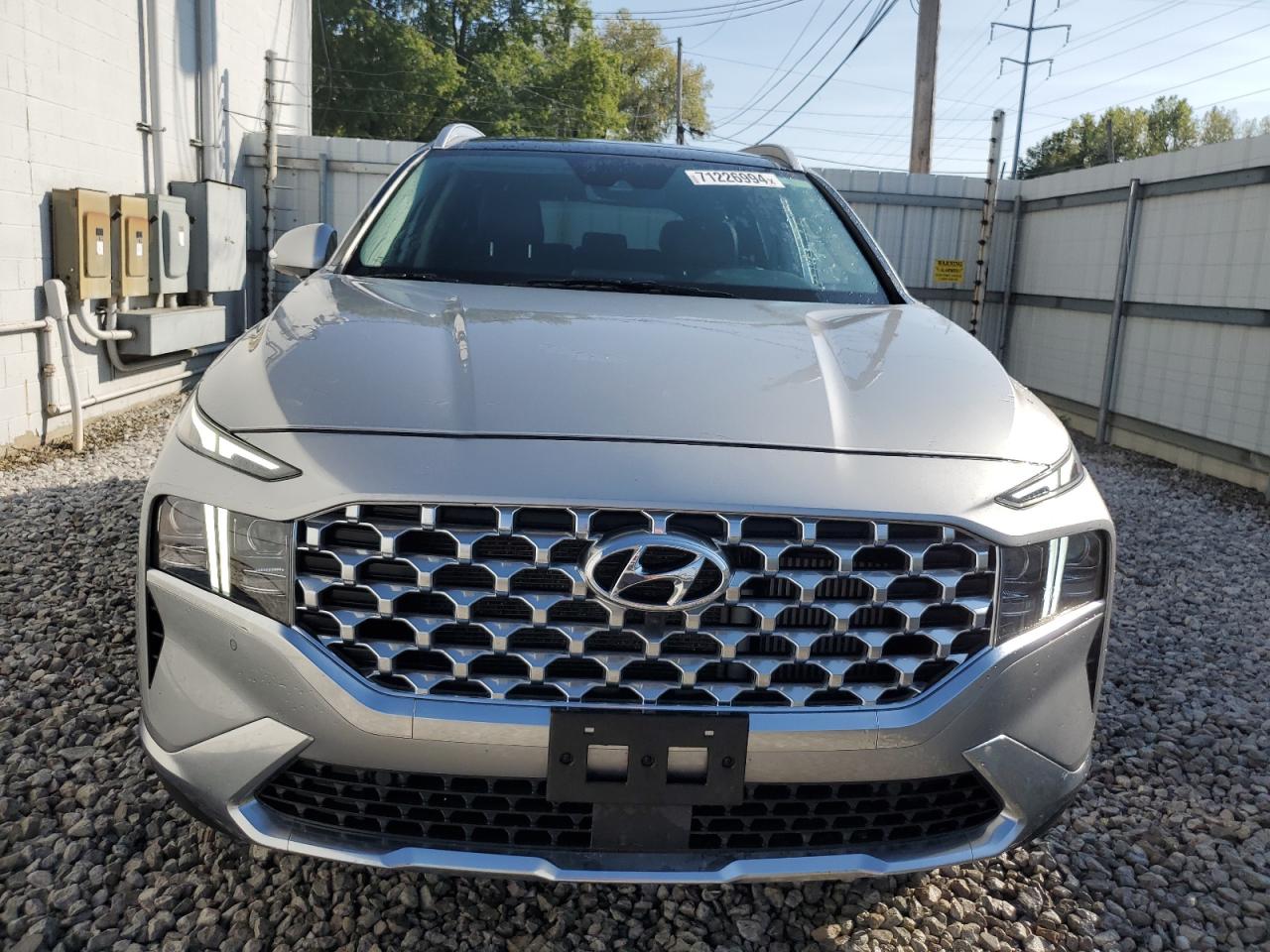 2023 Hyundai Santa Fe Limited VIN: 5NMS4DALXPH532475 Lot: 71226994