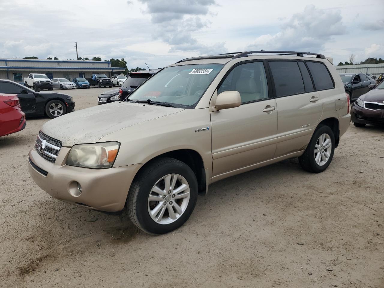 2006 Toyota Highlander Hybrid VIN: JTEDW21A960015698 Lot: 73039384