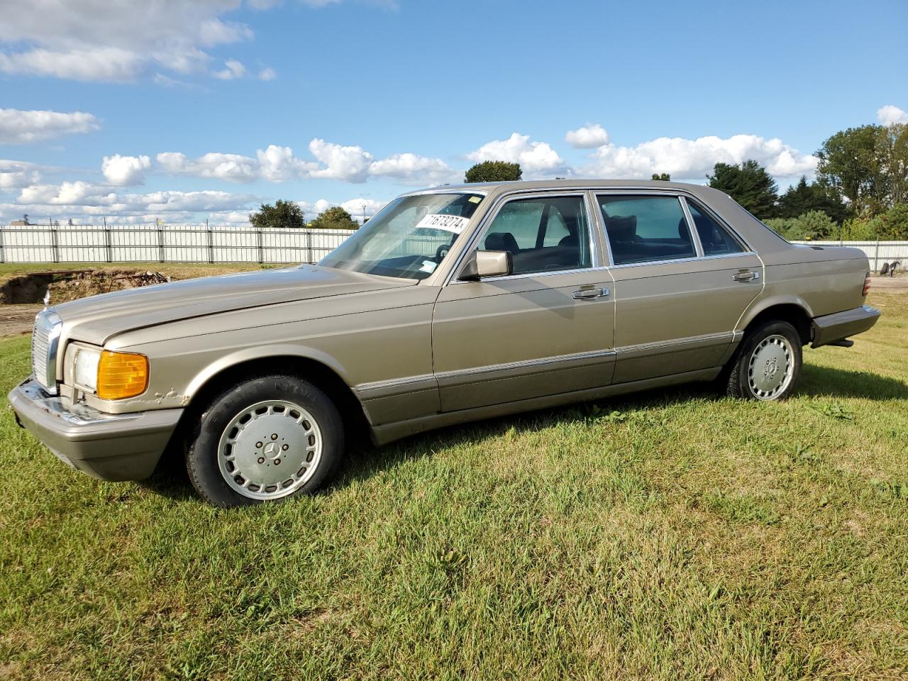 1986 Mercedes-Benz 420 Sel VIN: WDBCA35D2GA246302 Lot: 71673274