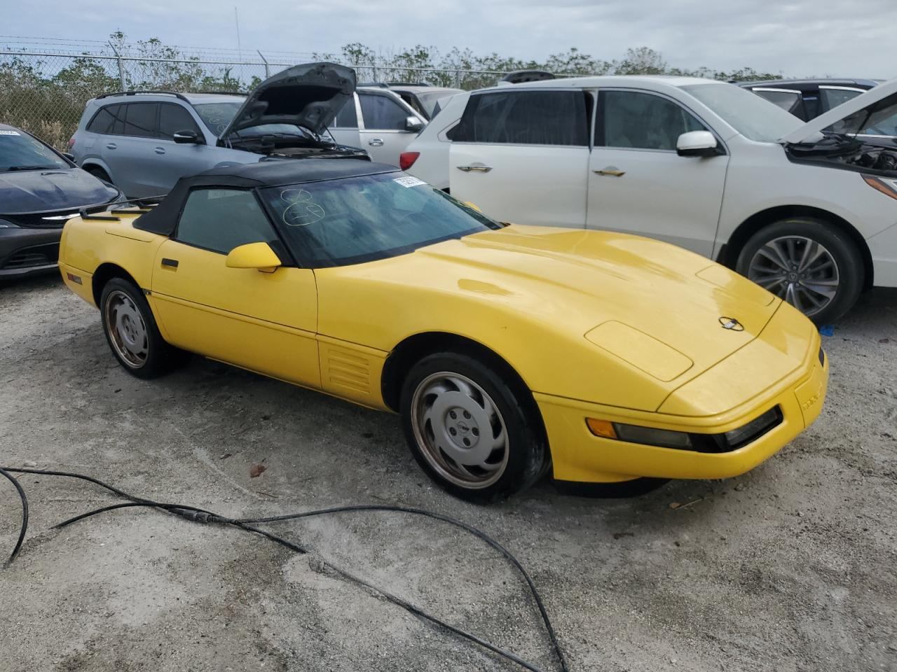 1991 Chevrolet Corvette VIN: 1G1YY3380M5116122 Lot: 75297814