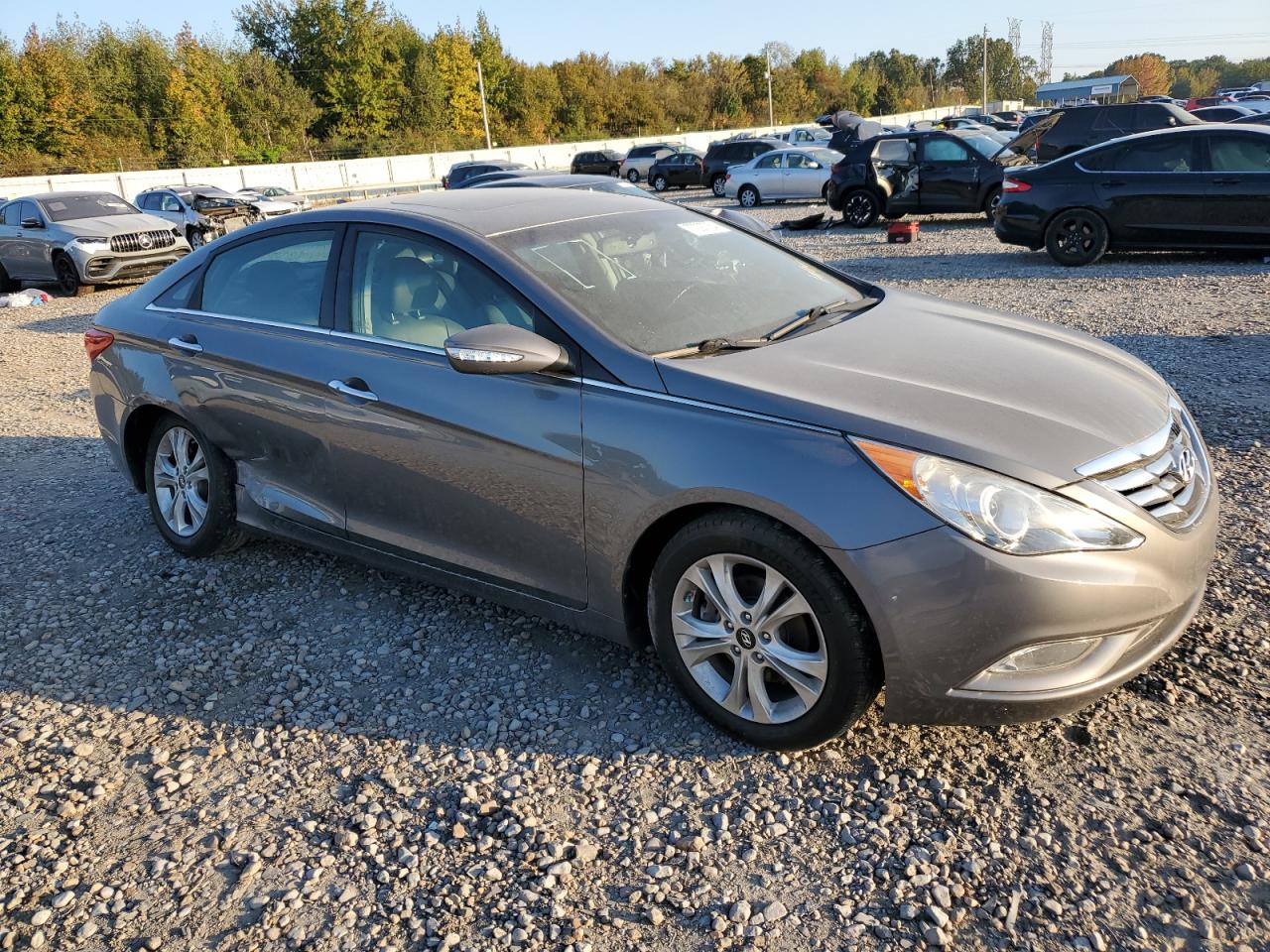 2013 Hyundai Sonata Se VIN: 5NPEC4AC3DH556079 Lot: 77297754