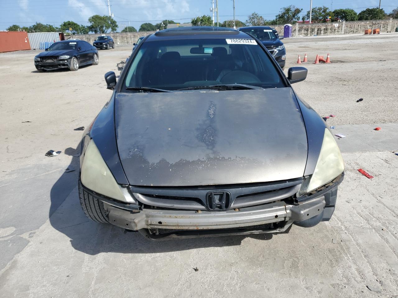 2006 Honda Accord Ex VIN: 1HGCM56856A101793 Lot: 78829324