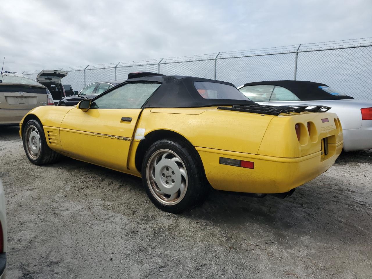 1991 Chevrolet Corvette VIN: 1G1YY3380M5116122 Lot: 75297814