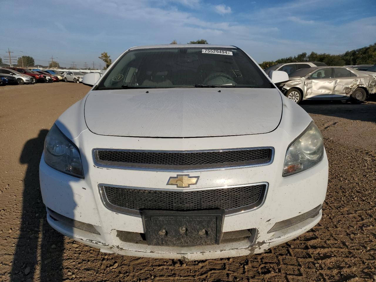 2009 Chevrolet Malibu Hybrid VIN: 1G1ZF57529F247981 Lot: 75529494