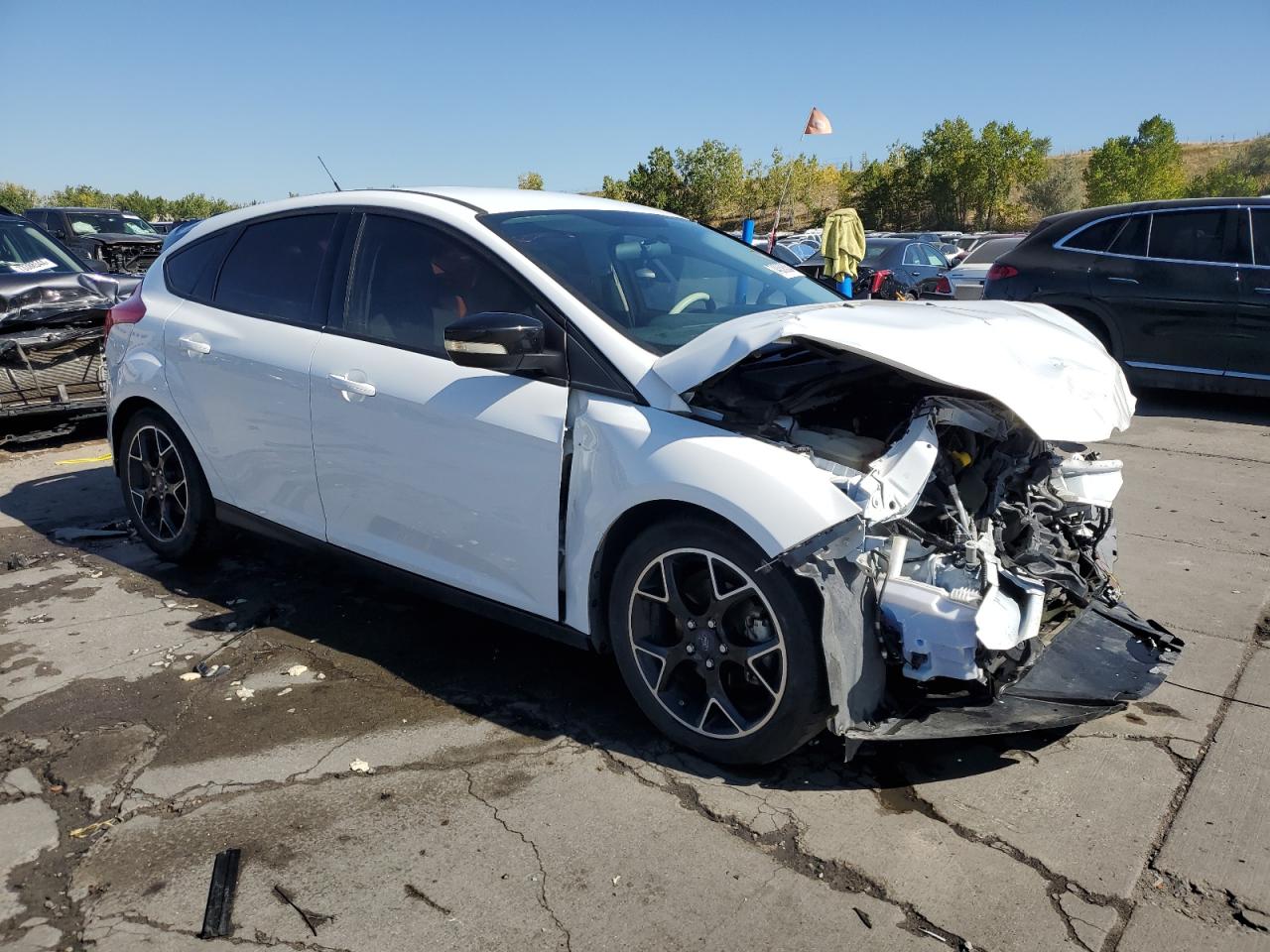 2014 Ford Focus Se VIN: 1FADP3K2XEL306034 Lot: 74338334