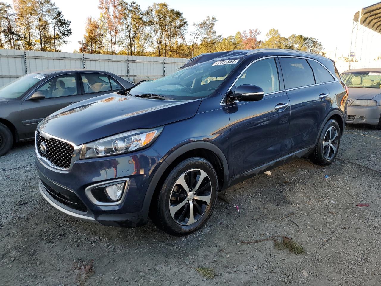 2016 Kia Sorento Ex VIN: 5XYPH4A13GG029809 Lot: 77331854