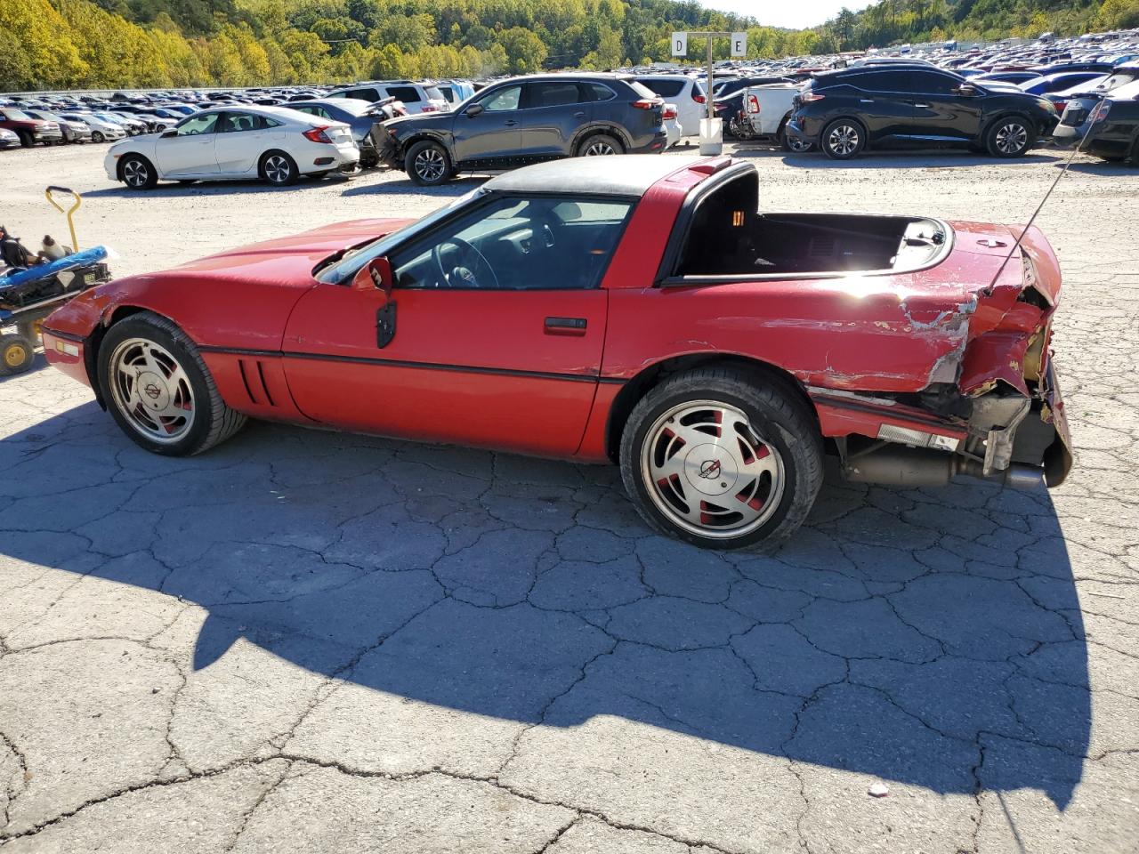 1989 Chevrolet Corvette VIN: 1G1YY2185K5114778 Lot: 75536414