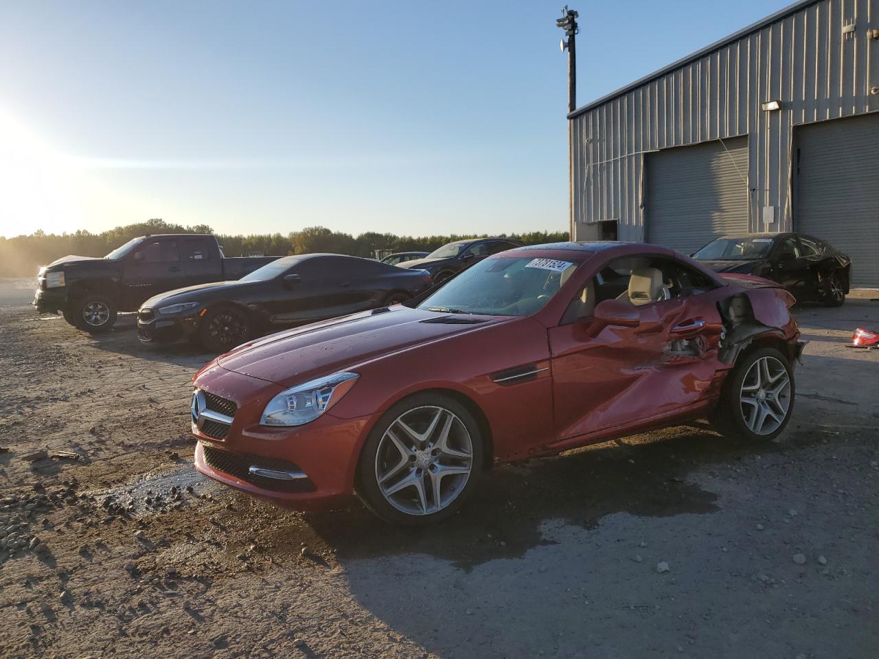 2016 Mercedes-Benz Slk 300 VIN: WDDPK3JA6GF119105 Lot: 73781524