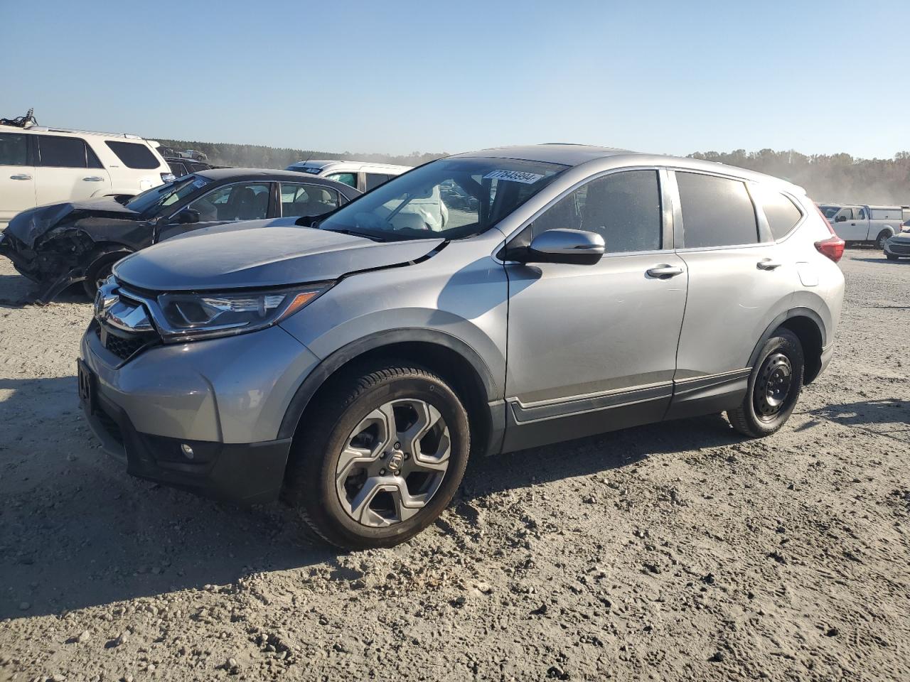 2019 Honda Cr-V Exl VIN: 5J6RW2H84KA007813 Lot: 77845994