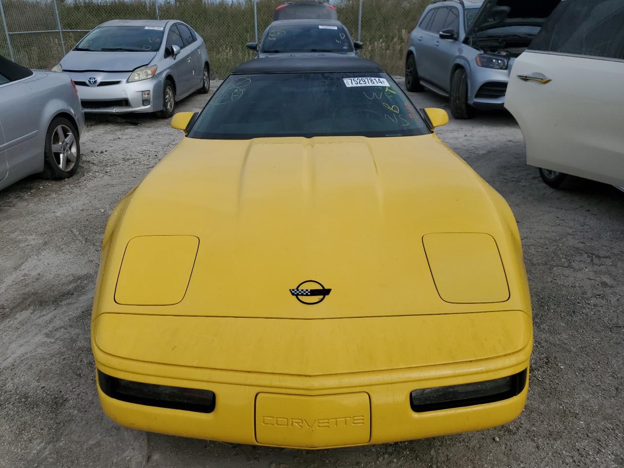 1991 Chevrolet Corvette VIN: 1G1YY3380M5116122 Lot: 75297814