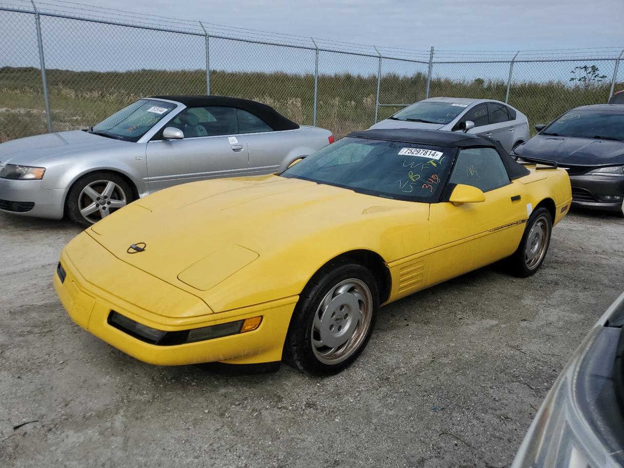 1991 Chevrolet Corvette VIN: 1G1YY3380M5116122 Lot: 75297814