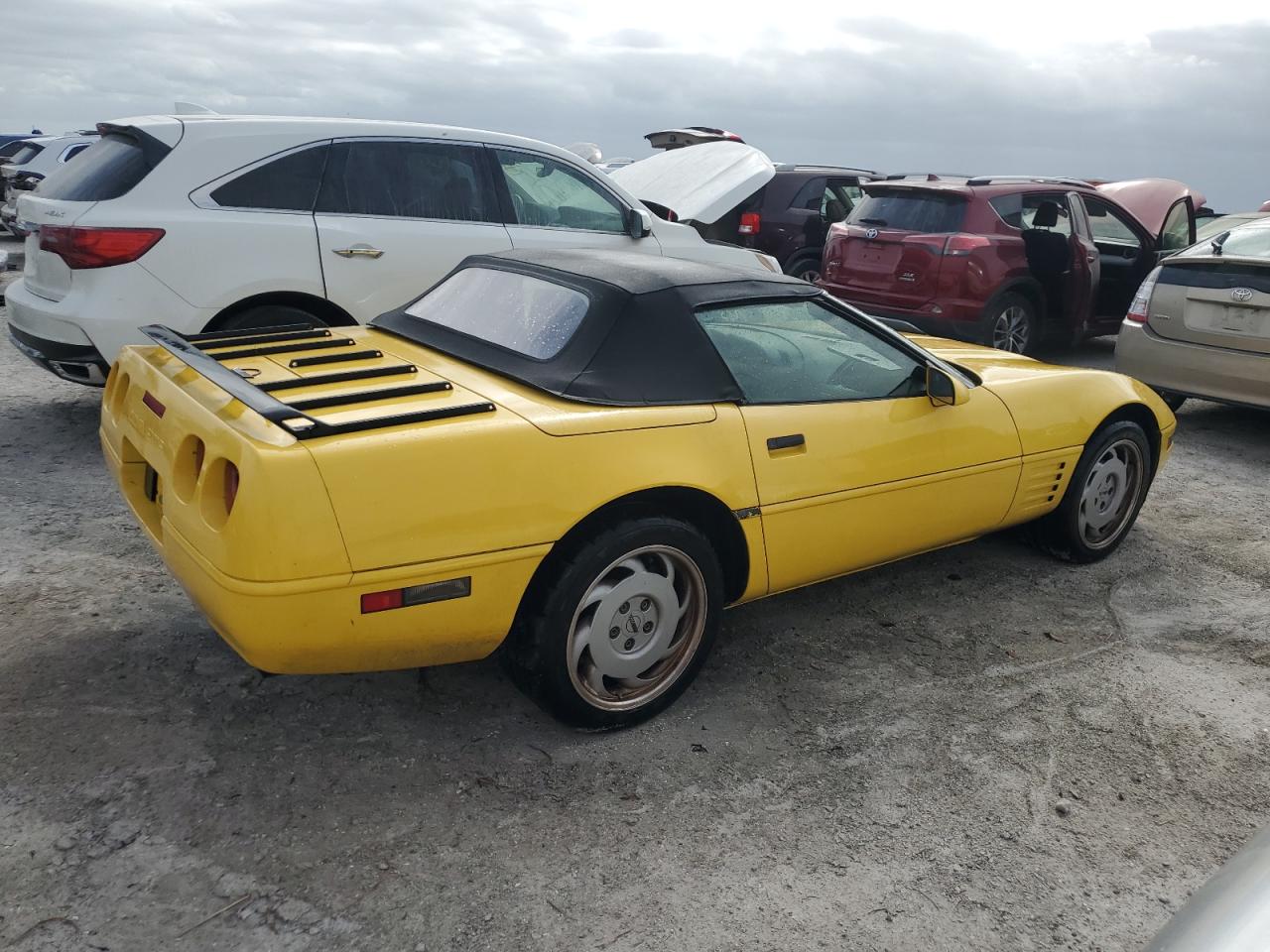 1991 Chevrolet Corvette VIN: 1G1YY3380M5116122 Lot: 75297814