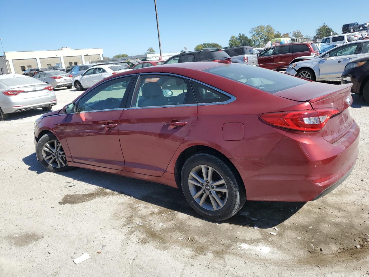 5NPE24AF9GH366319 2016 Hyundai Sonata Se