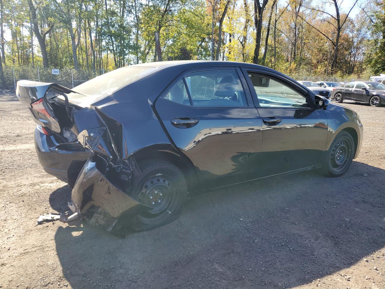 2016 Toyota Corolla L VIN: 2T1BURHE8GC496814 Lot: 74945984