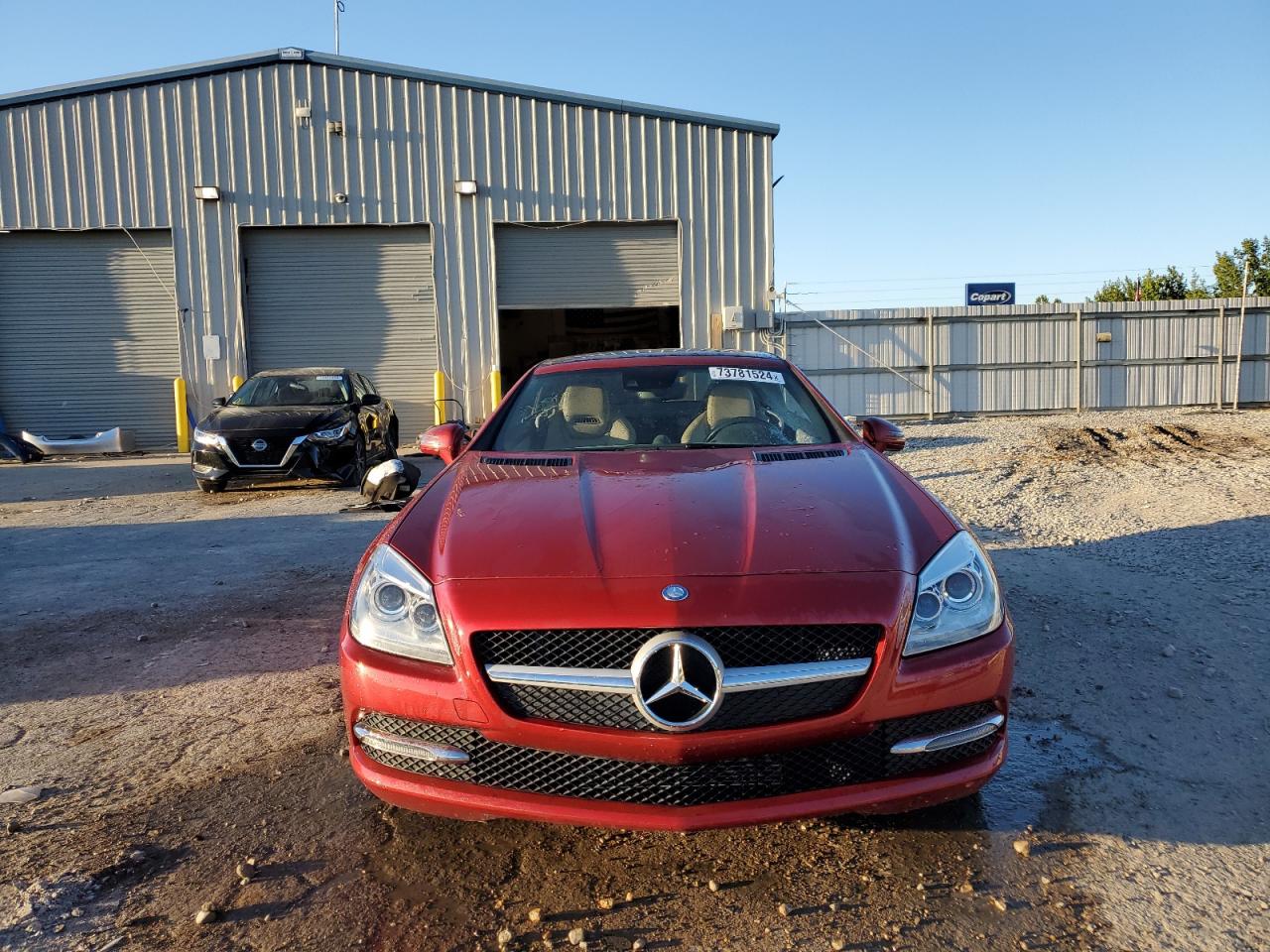 2016 Mercedes-Benz Slk 300 VIN: WDDPK3JA6GF119105 Lot: 73781524