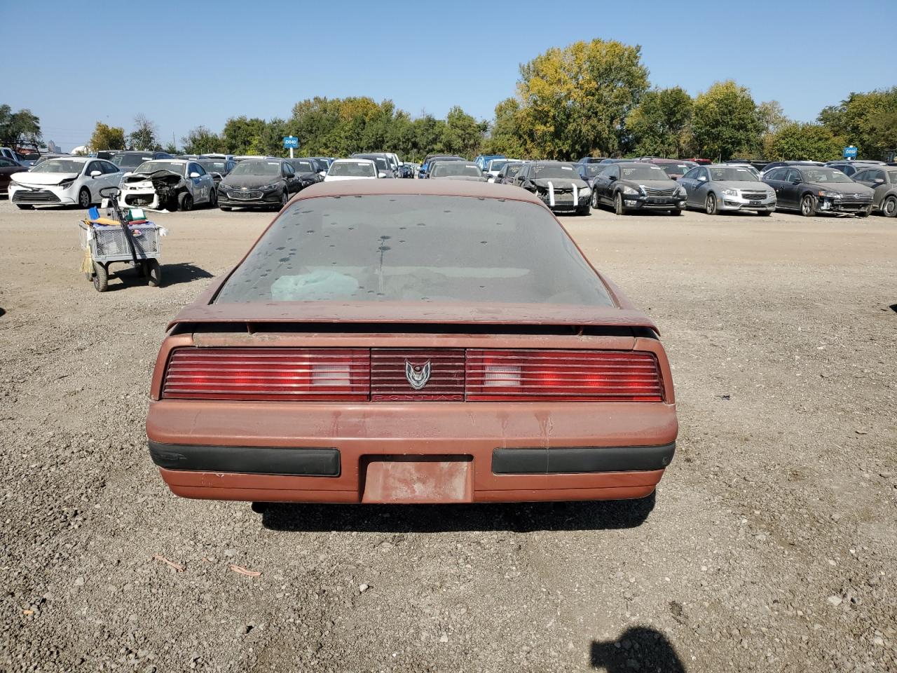 1985 Pontiac Firebird VIN: 1G2FS87S2FN225305 Lot: 75134274