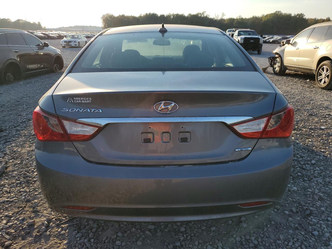 2013 Hyundai Sonata Se VIN: 5NPEC4AC3DH556079 Lot: 77297754