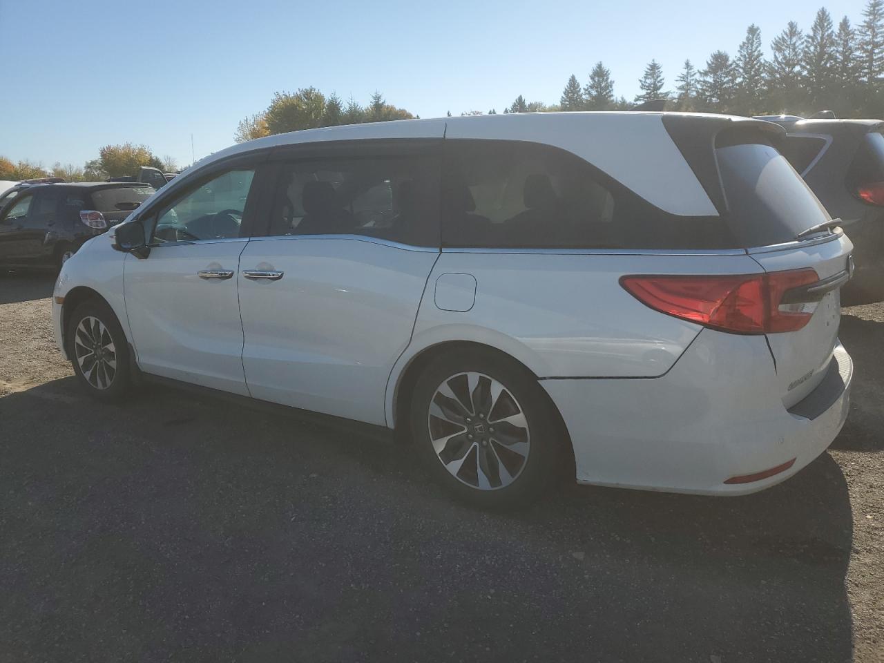 2022 Honda Odyssey Exl VIN: 5FNRL6H6XNB503697 Lot: 76890154