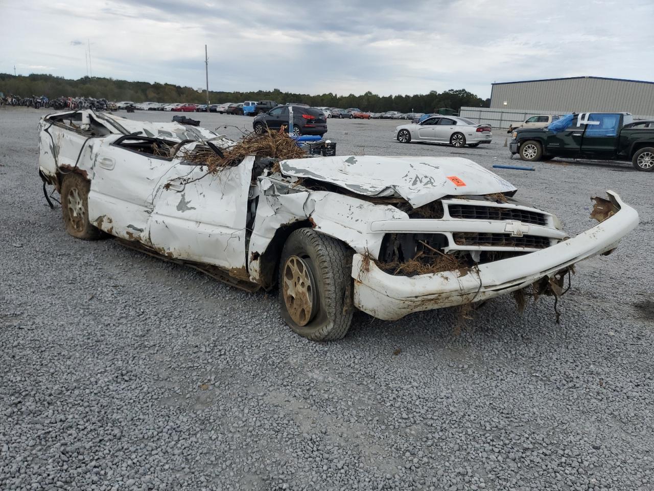 2004 Chevrolet Suburban K1500 VIN: 3GNFK16Z54G231050 Lot: 75822914