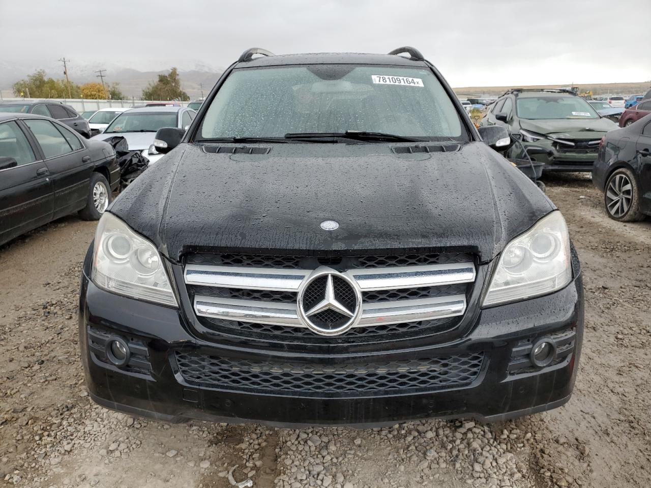 2007 Mercedes-Benz Gl 450 4Matic VIN: 4JGBF71E27A205264 Lot: 78109164