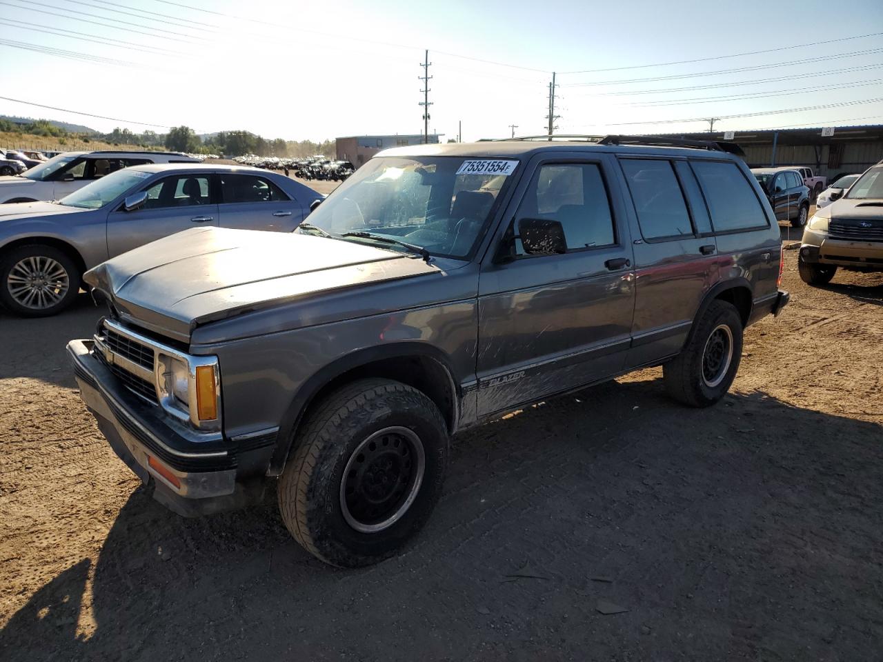 1991 Chevrolet Blazer S10 VIN: 1GNDT13ZXM2181165 Lot: 75351554