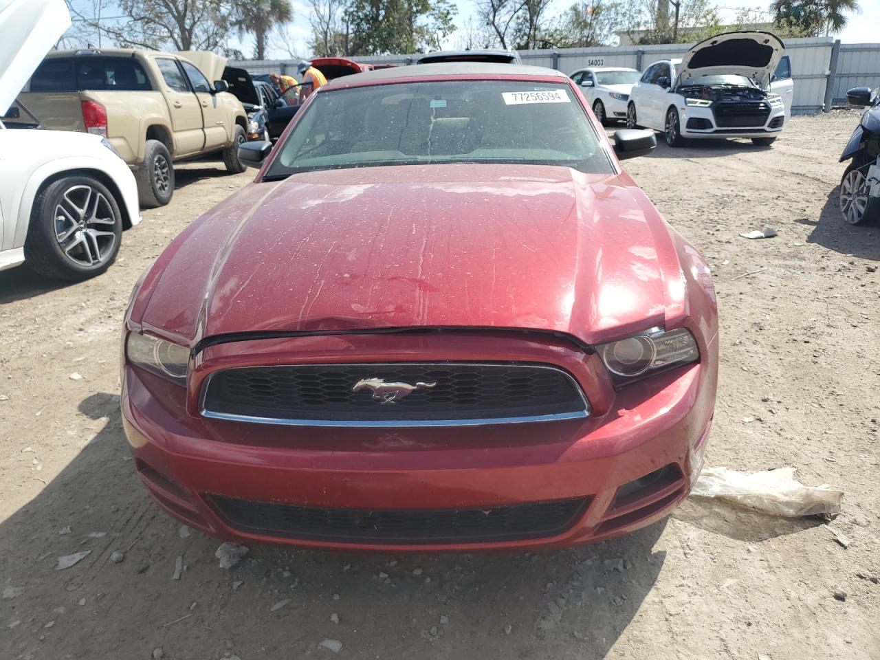 1ZVBP8EM8E5222582 2014 Ford Mustang