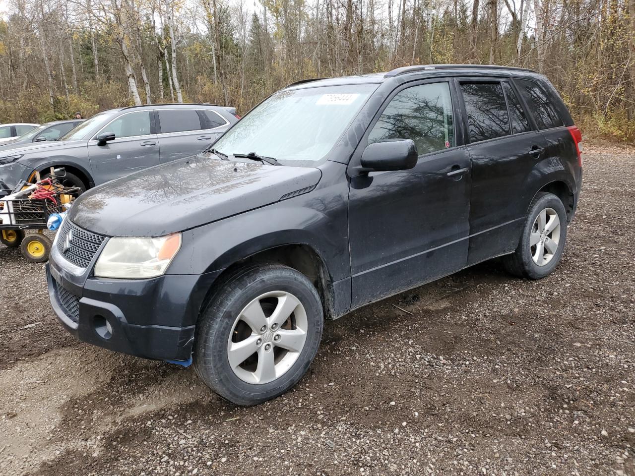 2010 Suzuki Grand Vitara Jlx VIN: JS3TD0D7XA4100336 Lot: 77956444