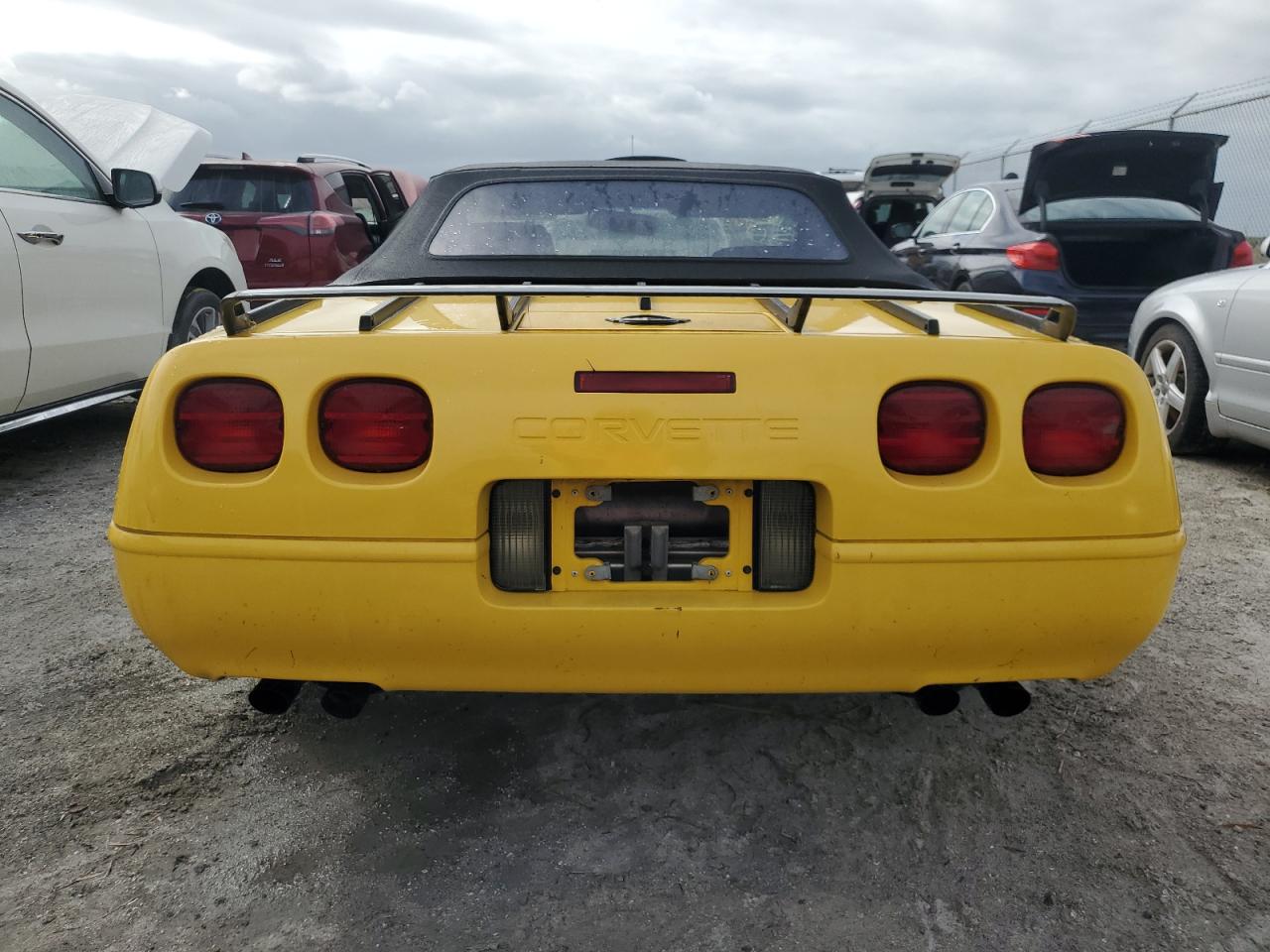 1991 Chevrolet Corvette VIN: 1G1YY3380M5116122 Lot: 75297814