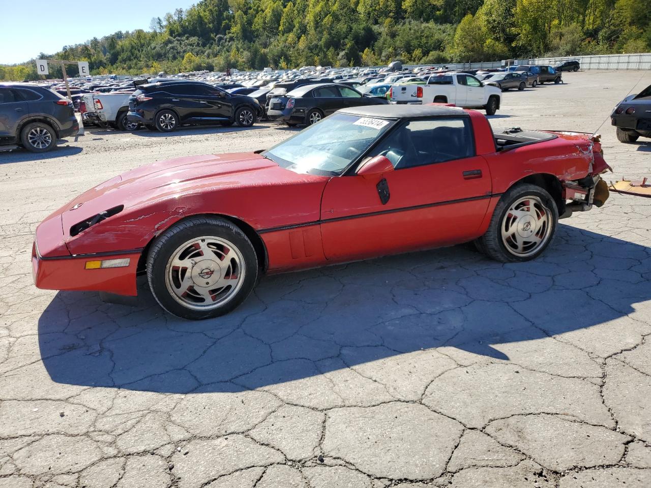 1989 Chevrolet Corvette VIN: 1G1YY2185K5114778 Lot: 75536414