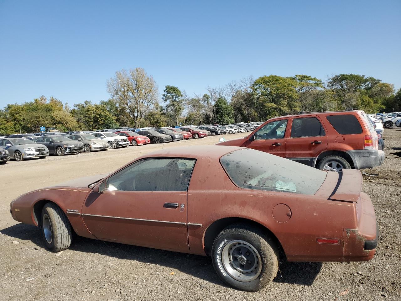 1985 Pontiac Firebird VIN: 1G2FS87S2FN225305 Lot: 75134274