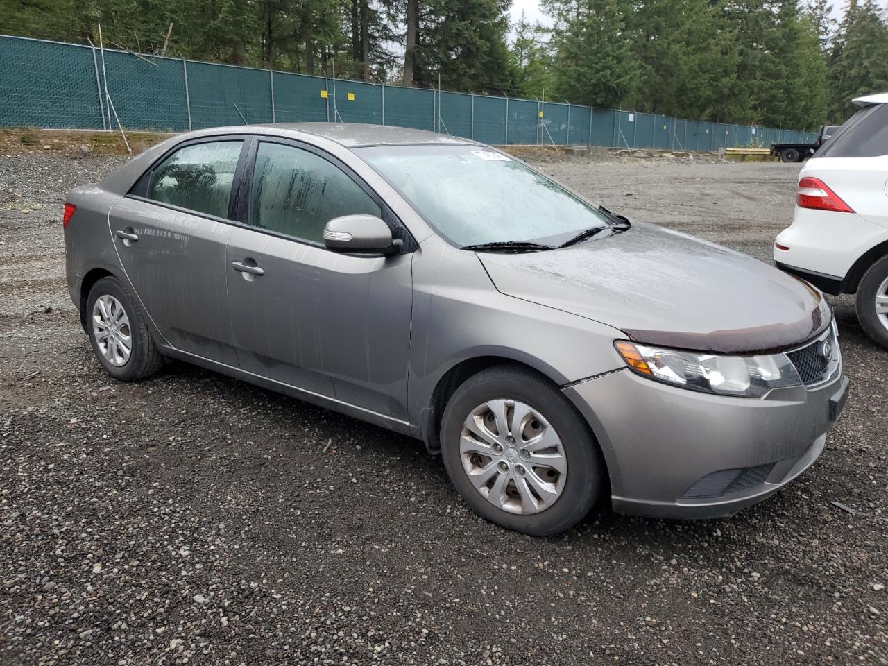 2010 Kia Forte Ex VIN: KNAFU4A28A5238850 Lot: 77491644