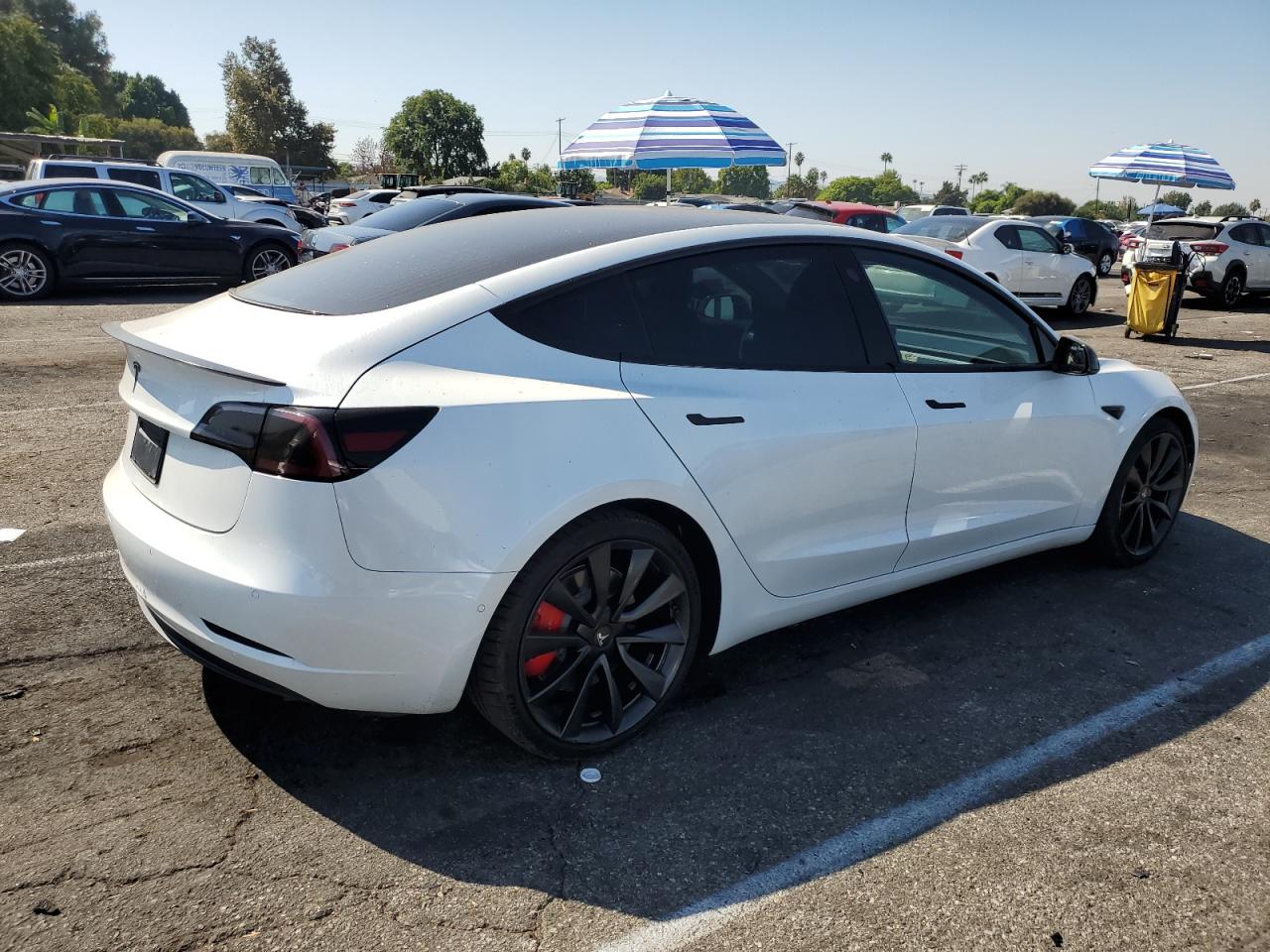 2020 Tesla Model 3 VIN: 5YJ3E1EC2LF736239 Lot: 74094384