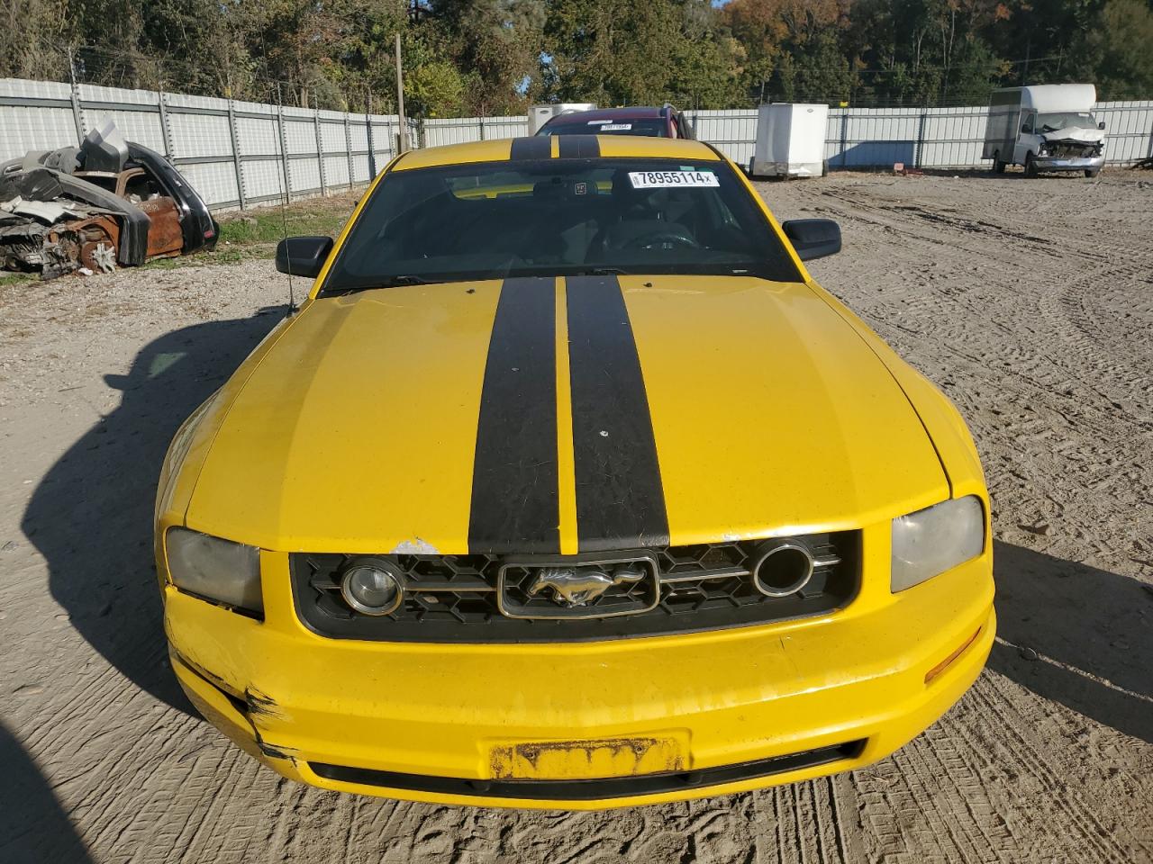 1ZVFT80N865224962 2006 Ford Mustang