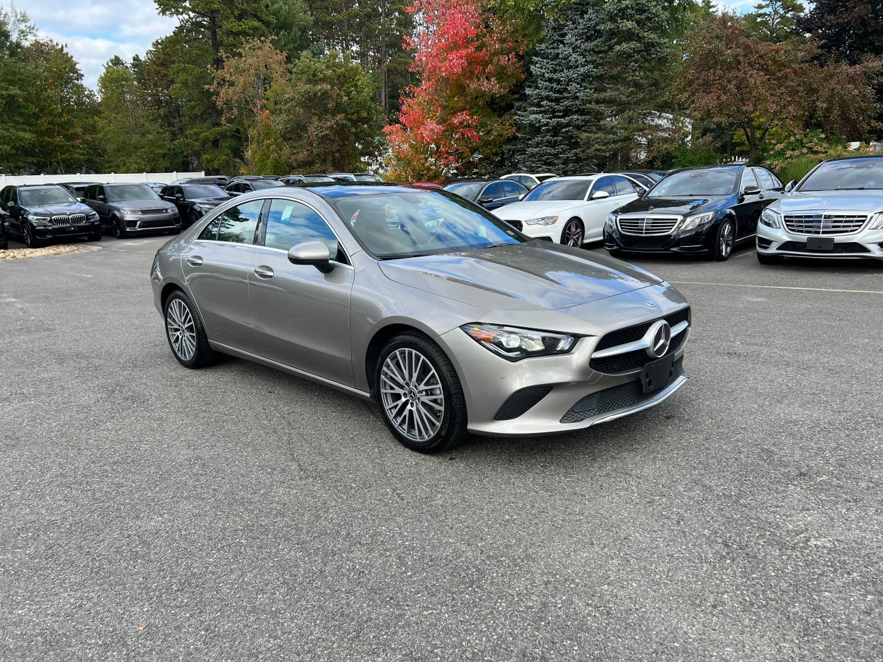 2020 Mercedes-Benz Cla 250 VIN: WDD5J4GB6LN061058 Lot: 74588924