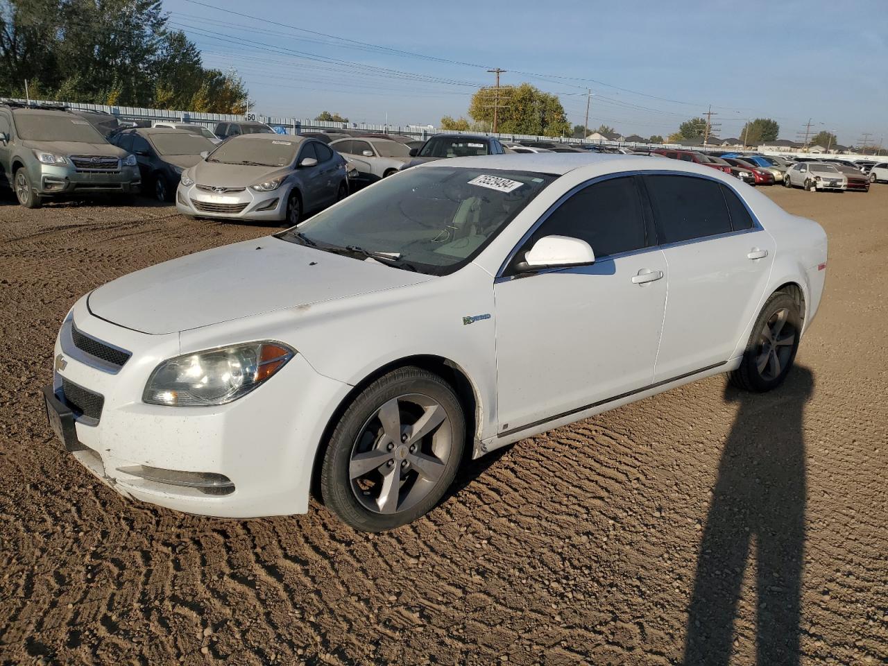 2009 Chevrolet Malibu Hybrid VIN: 1G1ZF57529F247981 Lot: 75529494