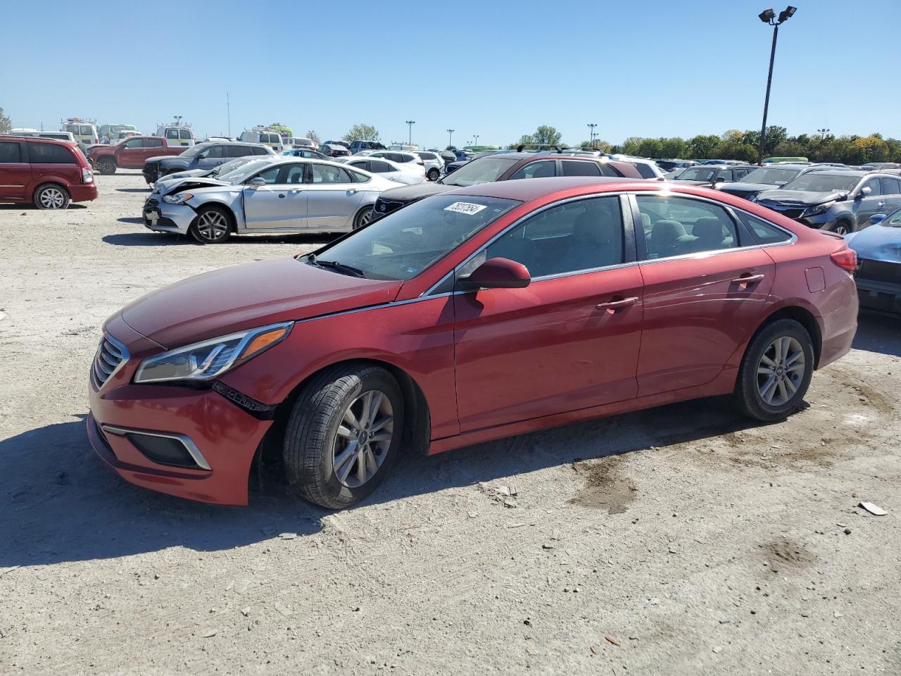 5NPE24AF9GH366319 2016 Hyundai Sonata Se